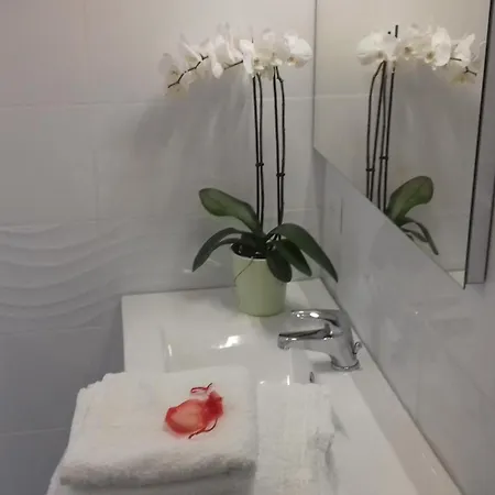 Du Pech Cathare * Leychert