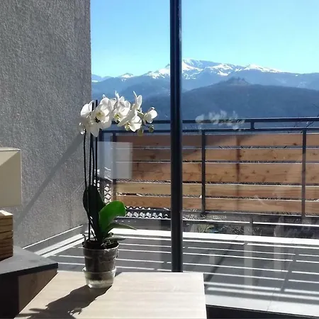 Du Pech Cathare * Leychert