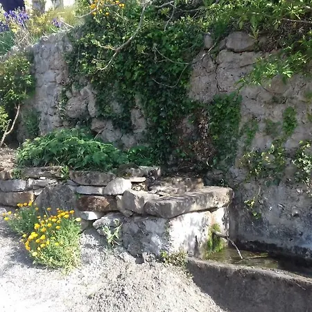 Du Pech Cathare * Leychert