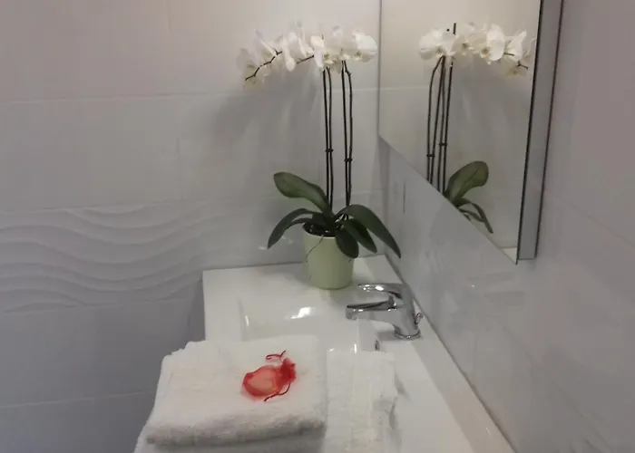 Du Pech Cathare * Leychert